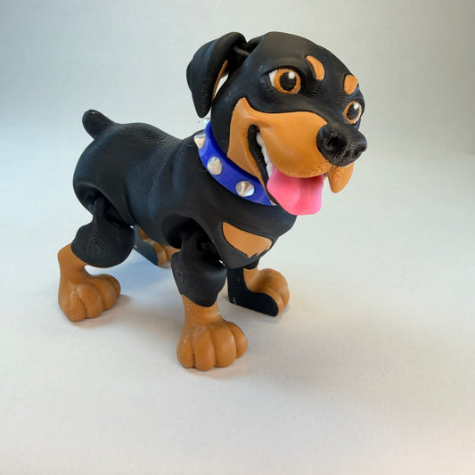 Rottweiler