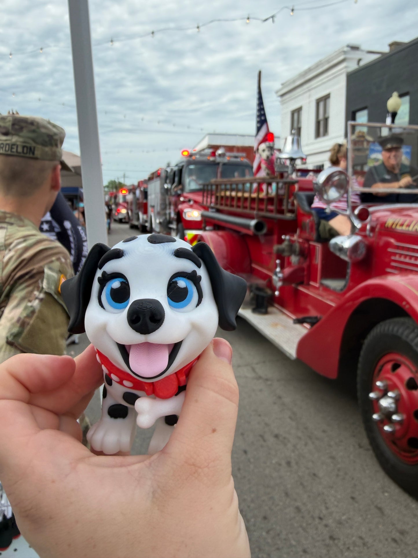 Dalmation