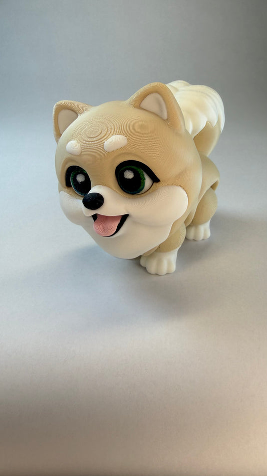 Pomeranian
