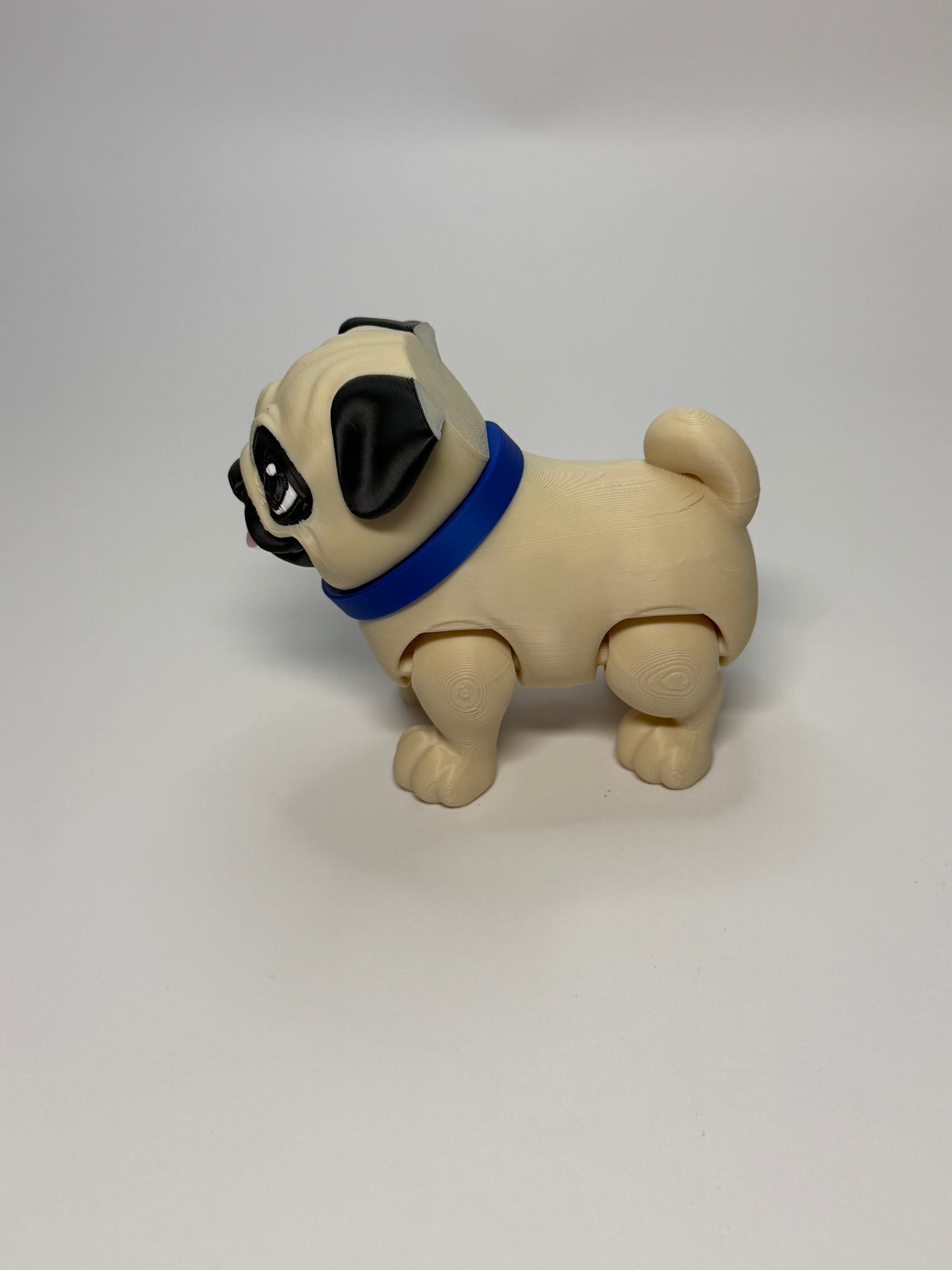 Pug