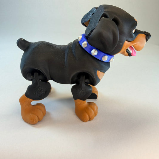 Rottweiler