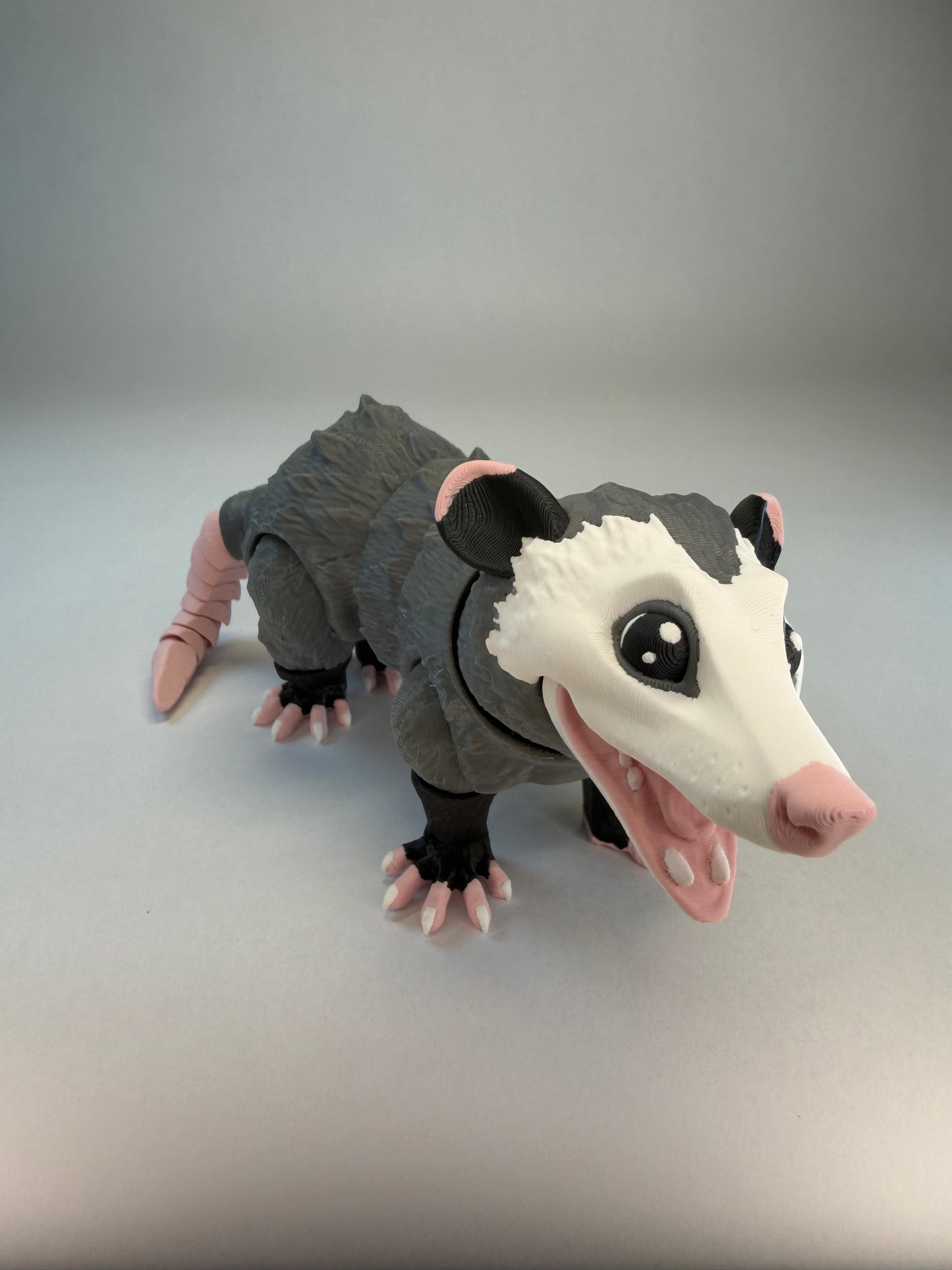 Possum
