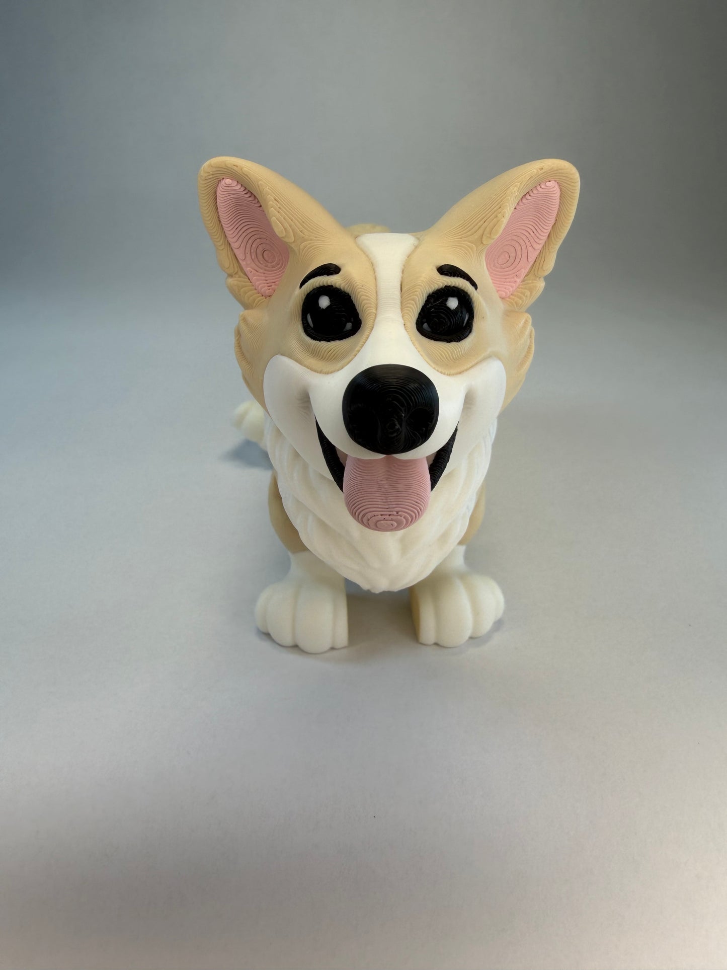 Corgi