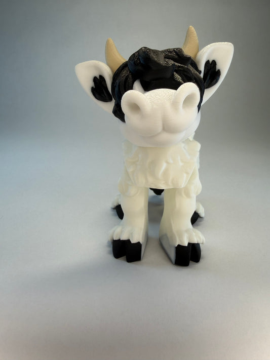 Highland Cow