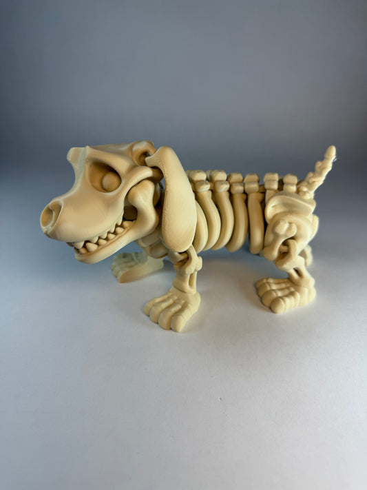 Skeleton Dachshund