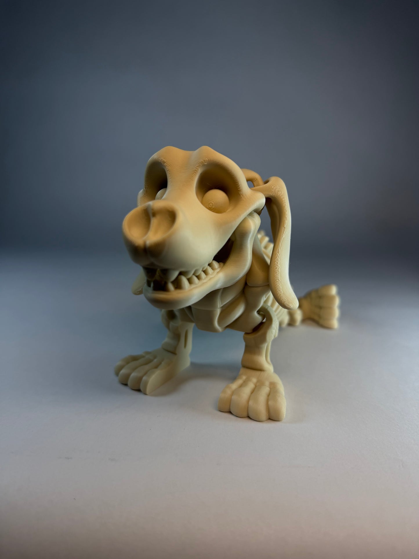 Skeleton Dachshund
