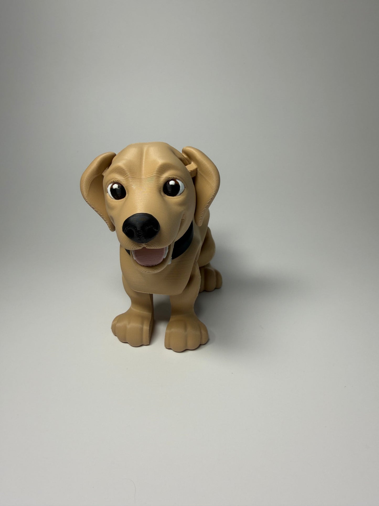 Lab