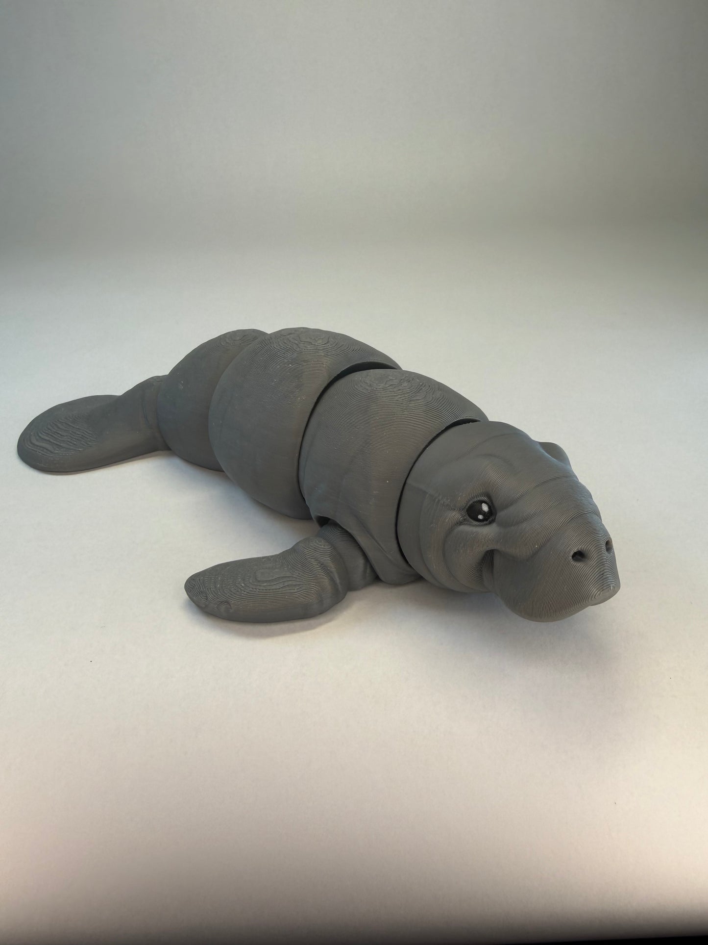 Manatee