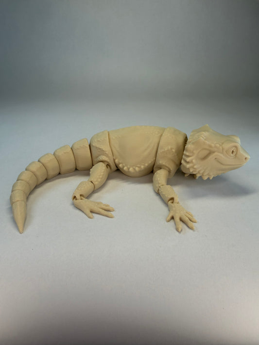 Bearded Dragon