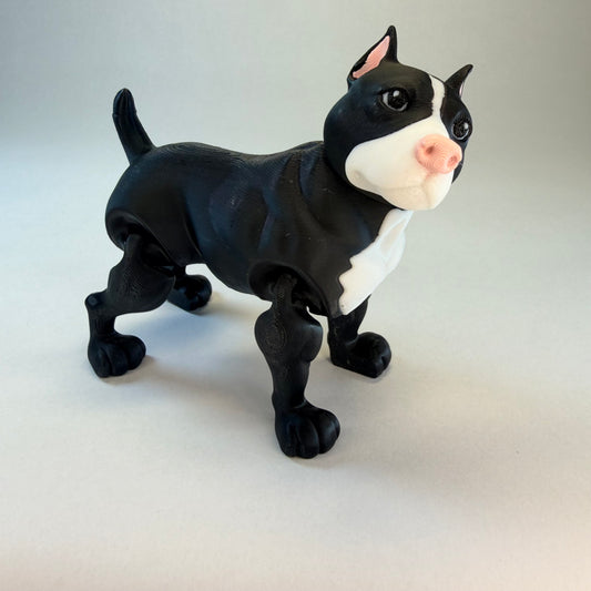 Pitbull