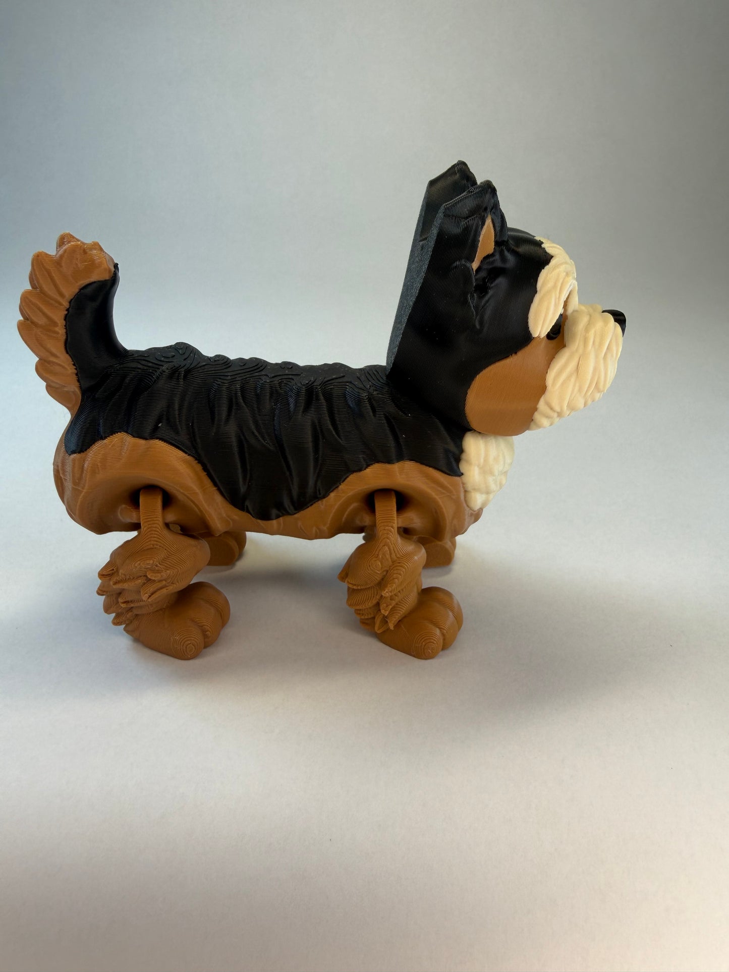 Yorkie