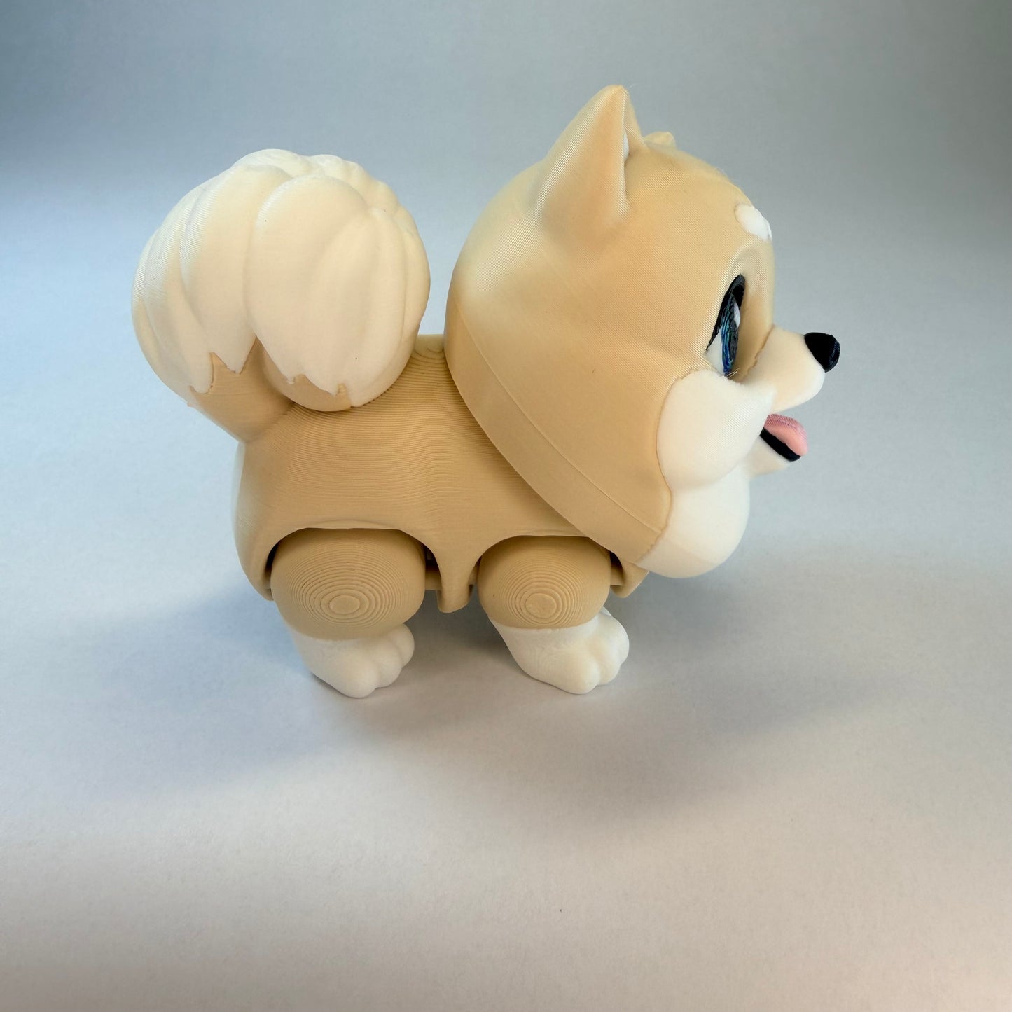 Pomeranian
