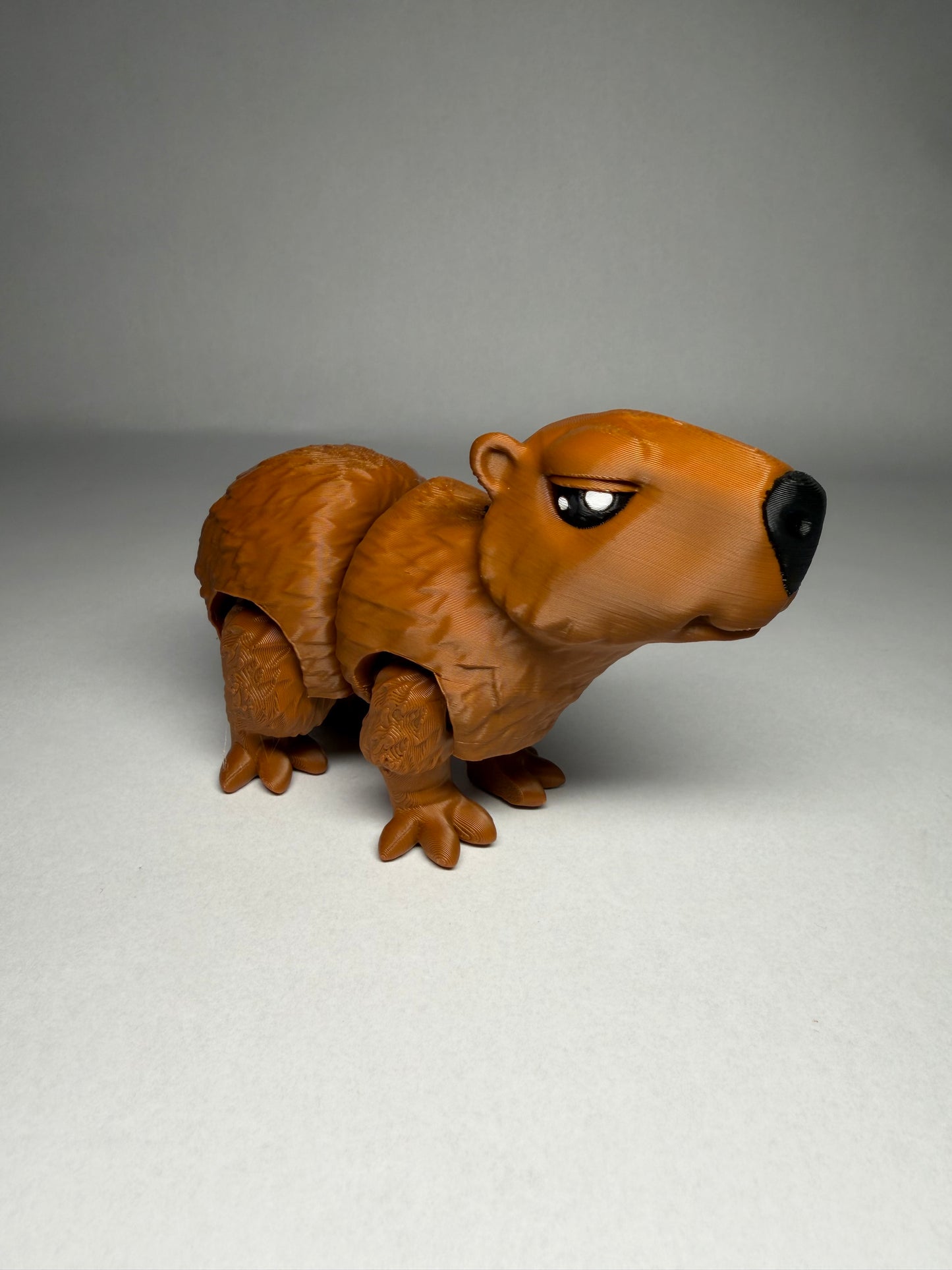 Capybara