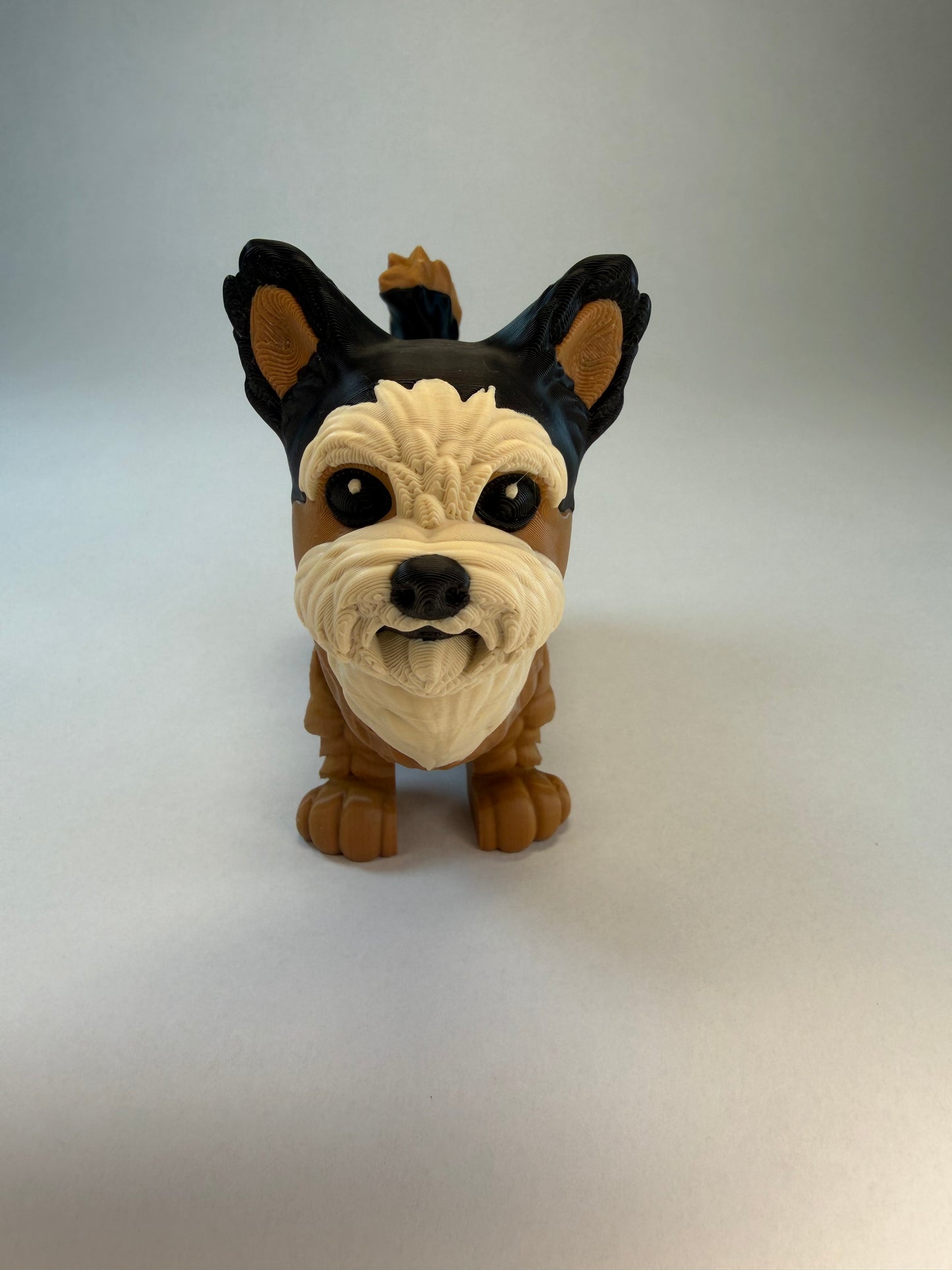 Yorkie