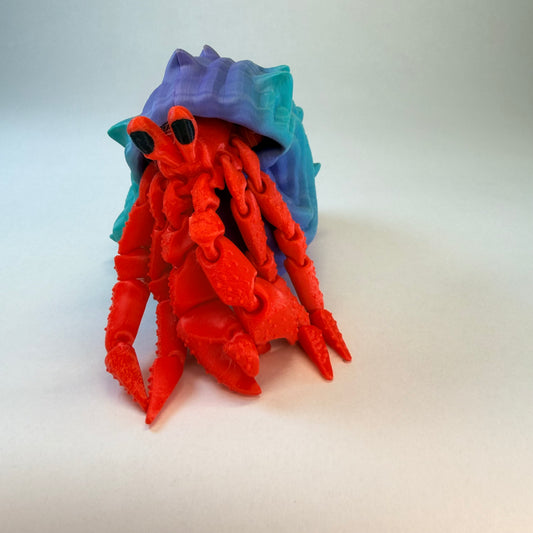 Hermit Crab
