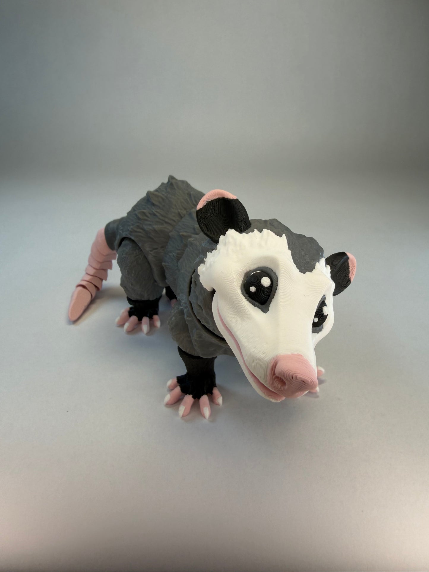 Possum