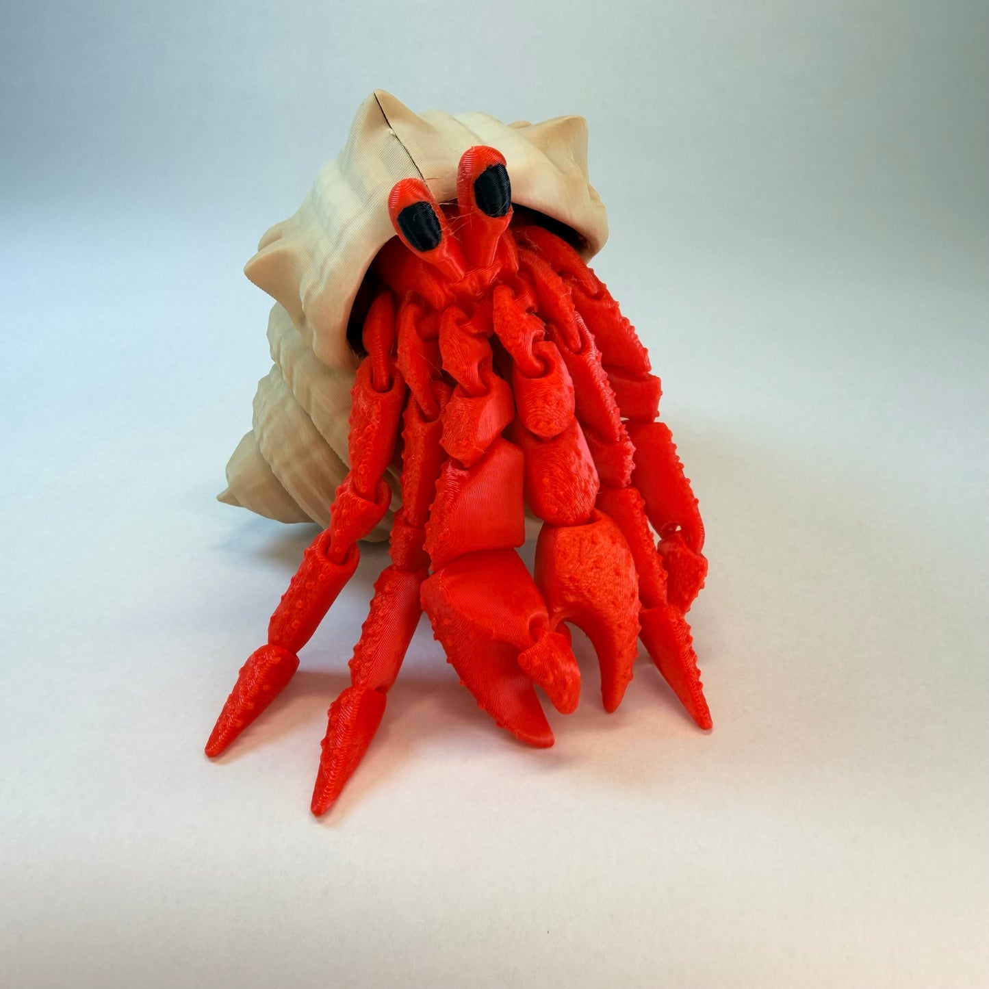 Hermit Crab