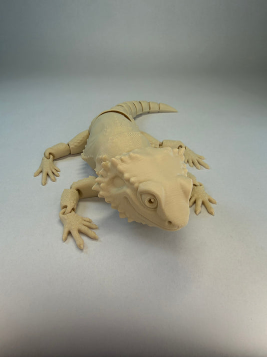 Bearded Dragon