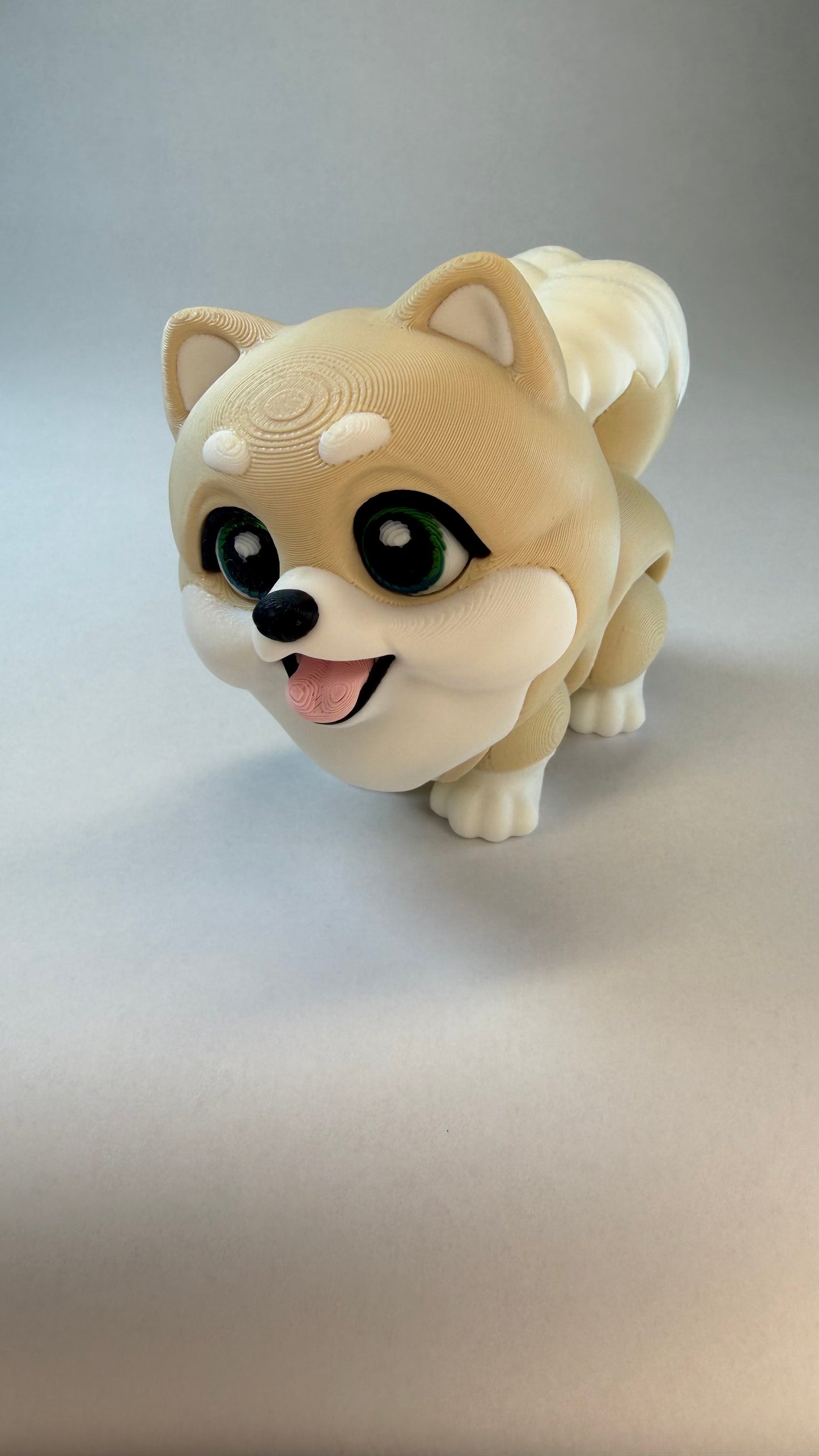 Pomeranian