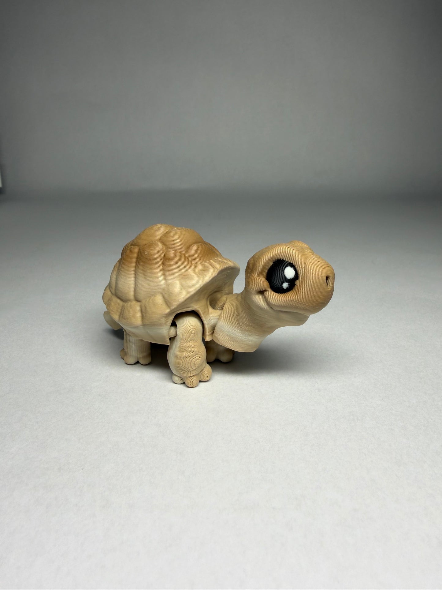 Tortoise