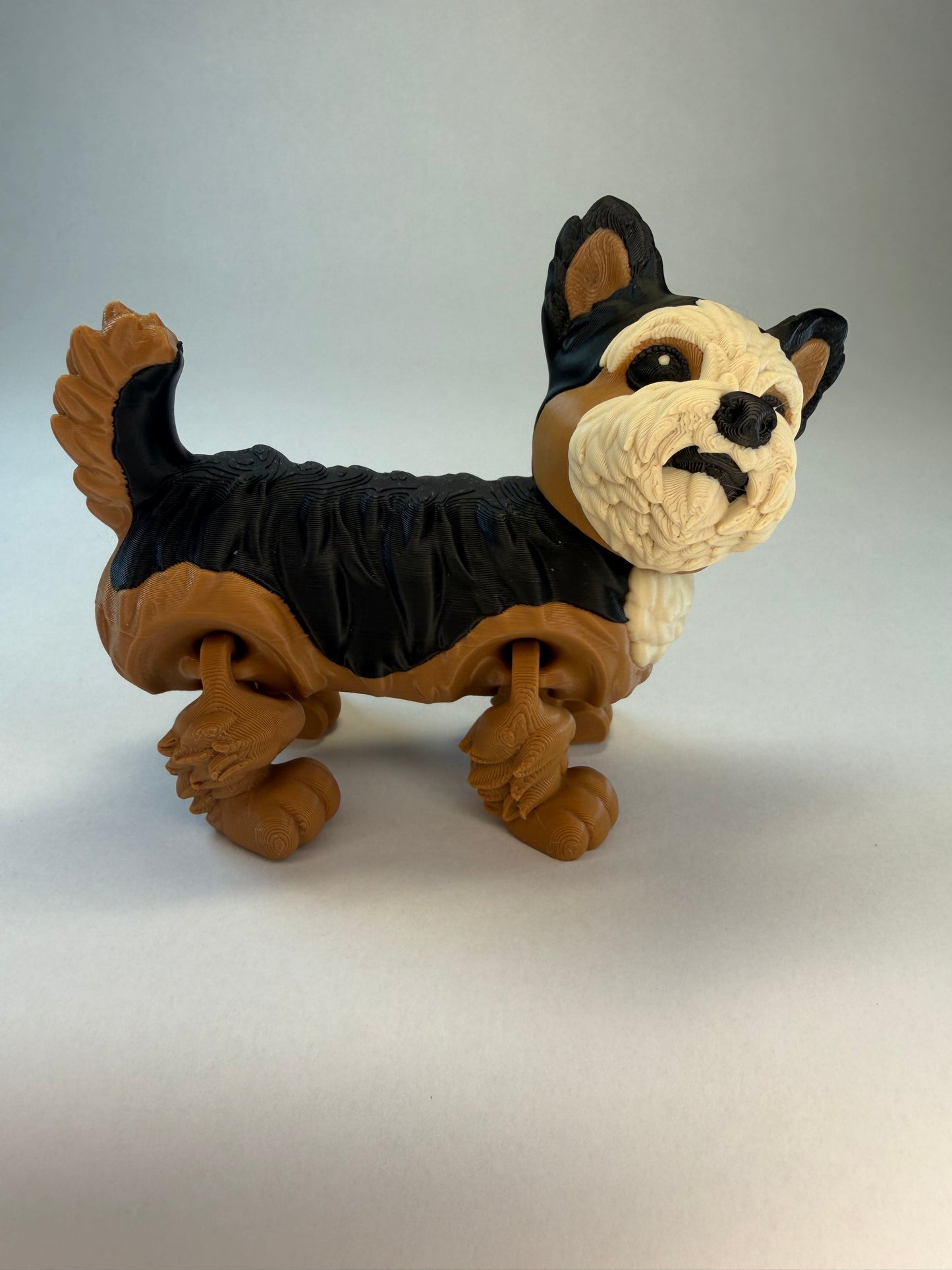 Yorkie