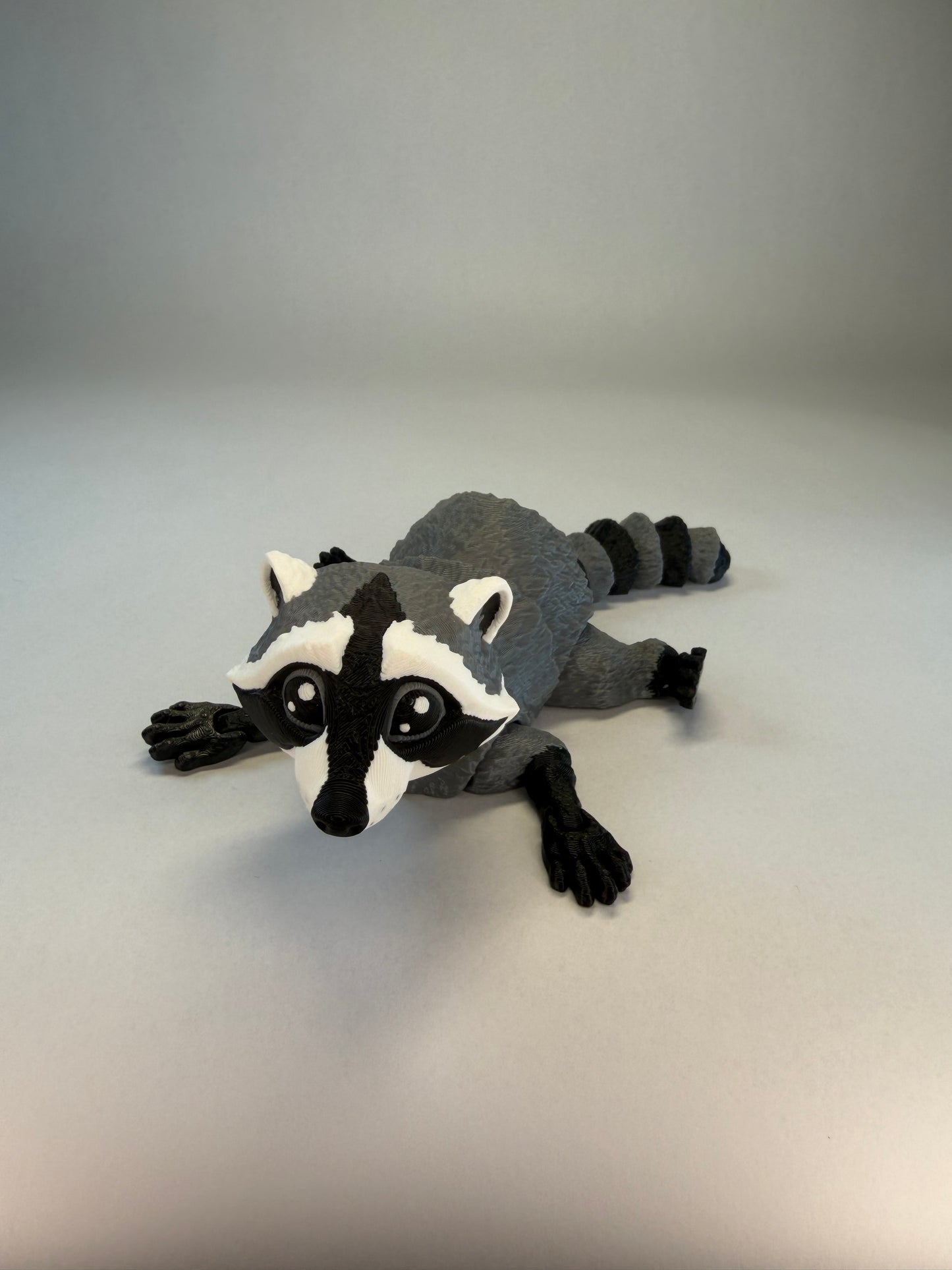 Raccoon