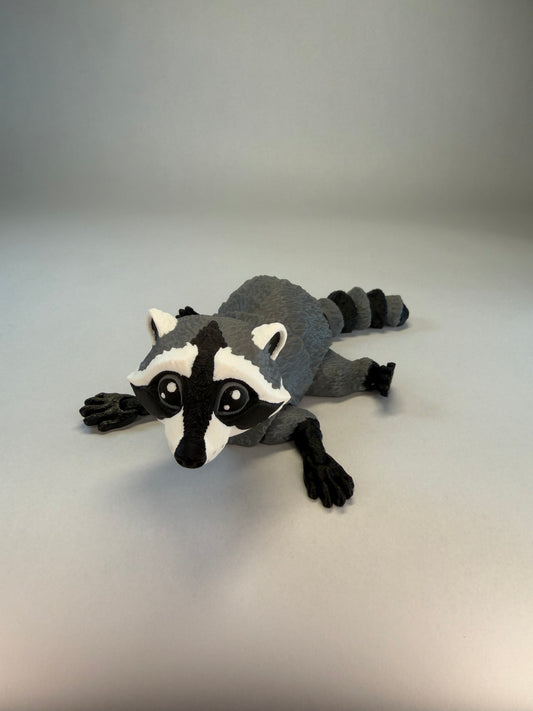 Raccoon