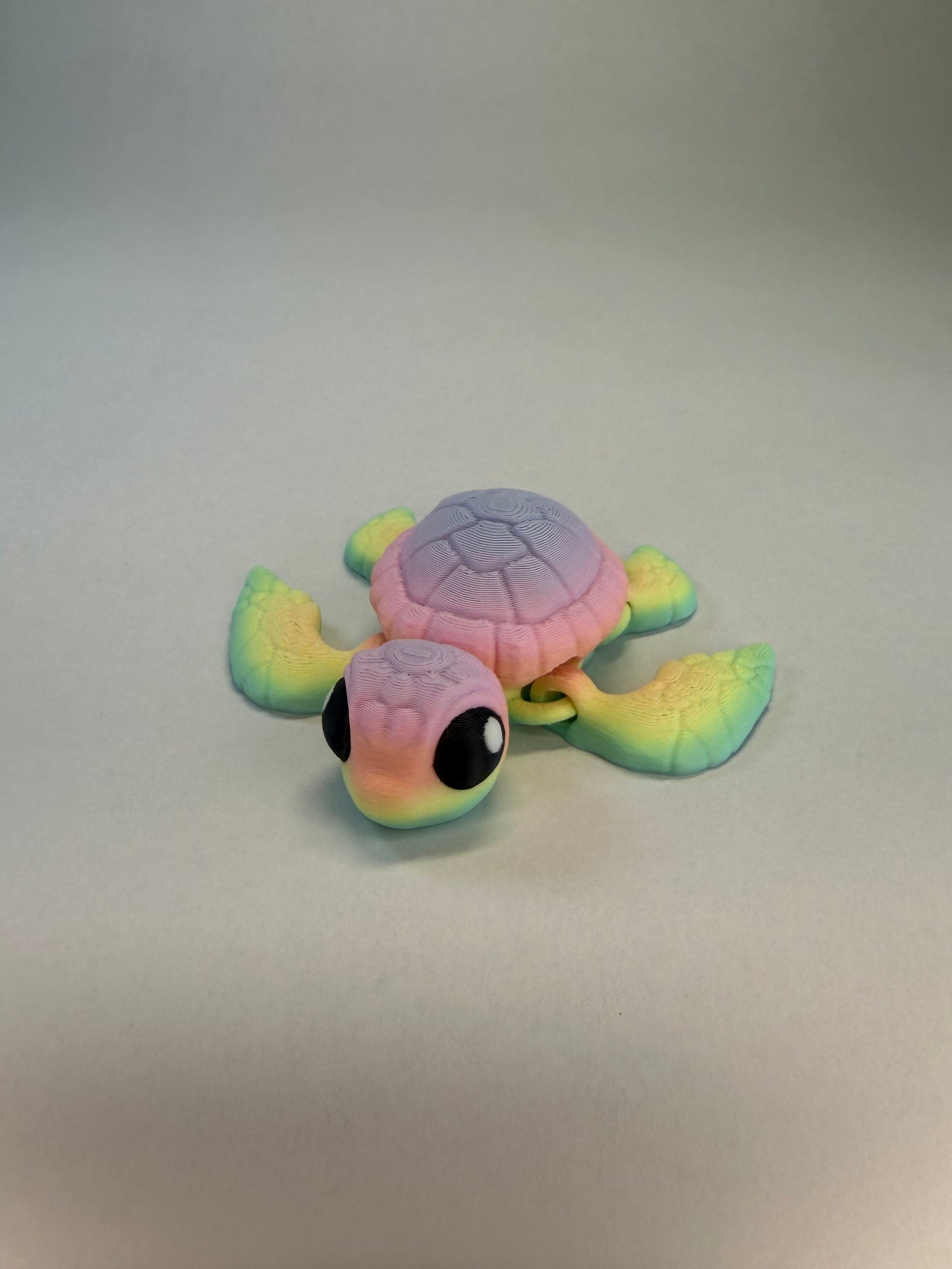 Sea Turtle
