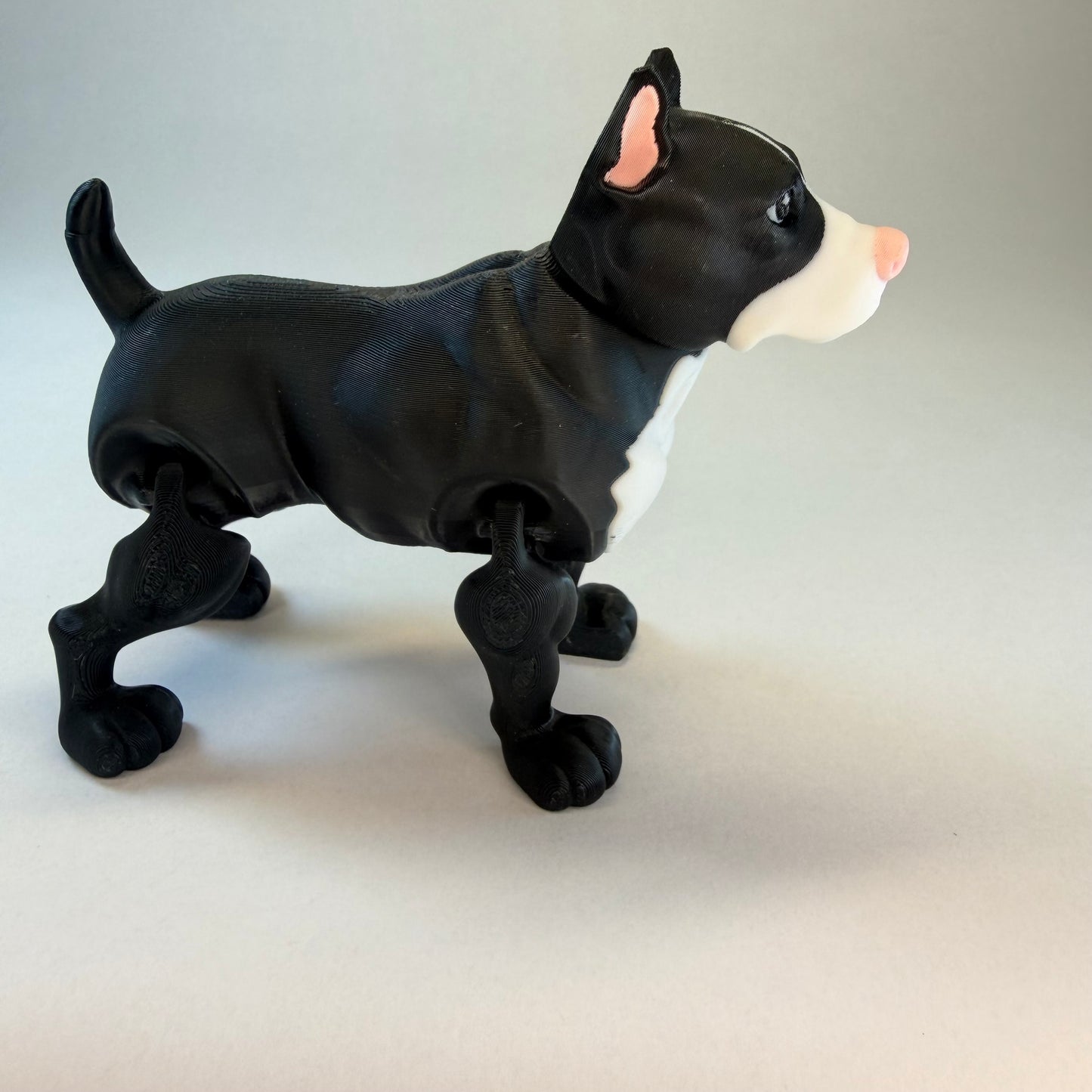 Pitbull