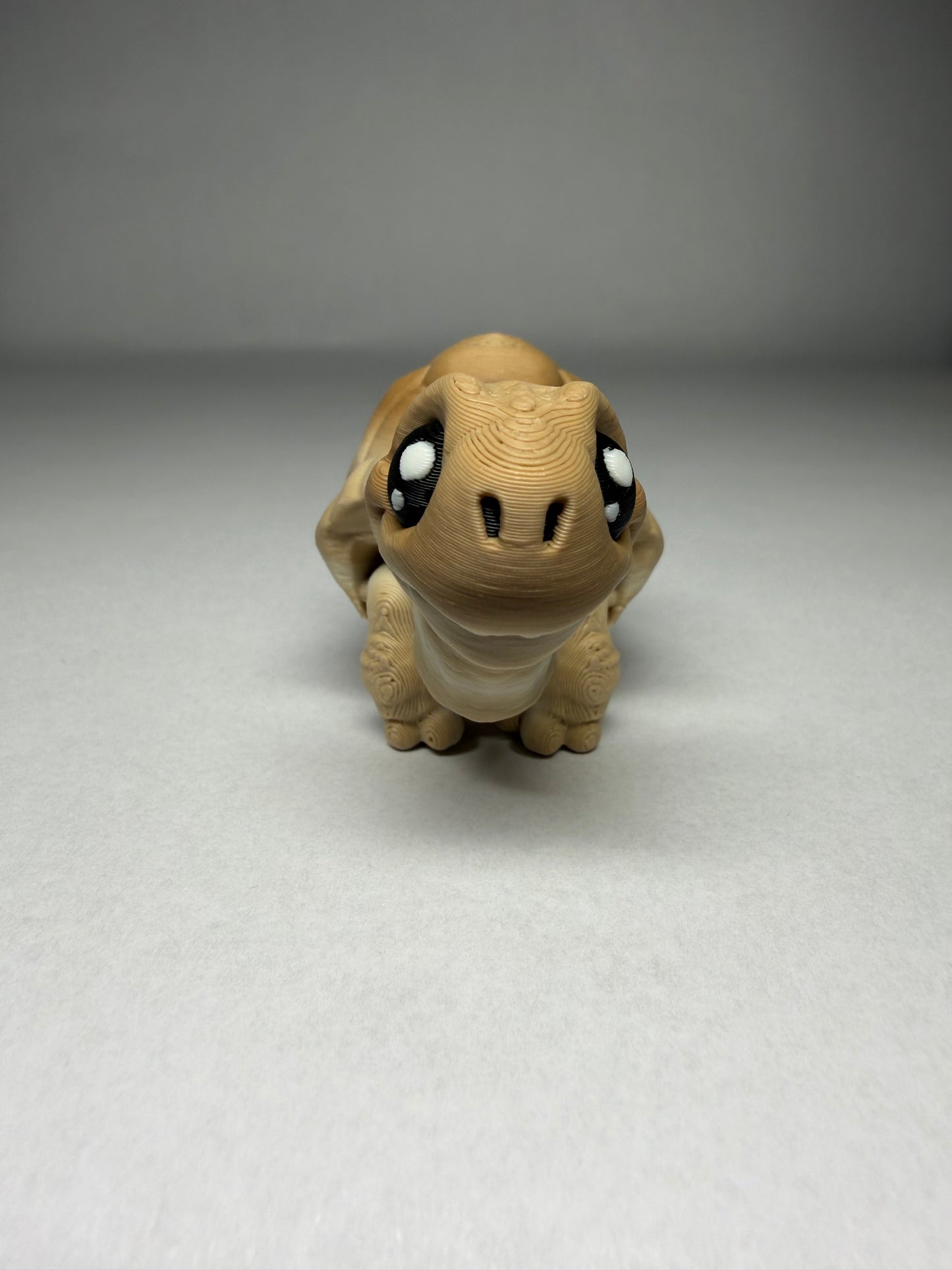 Tortoise