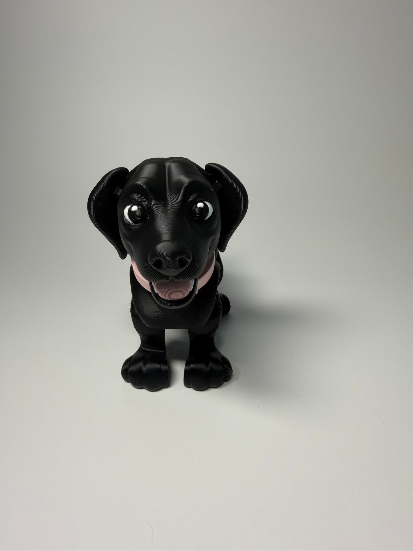Lab