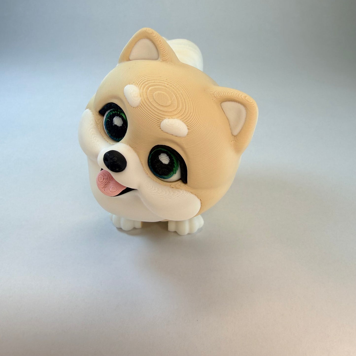Pomeranian