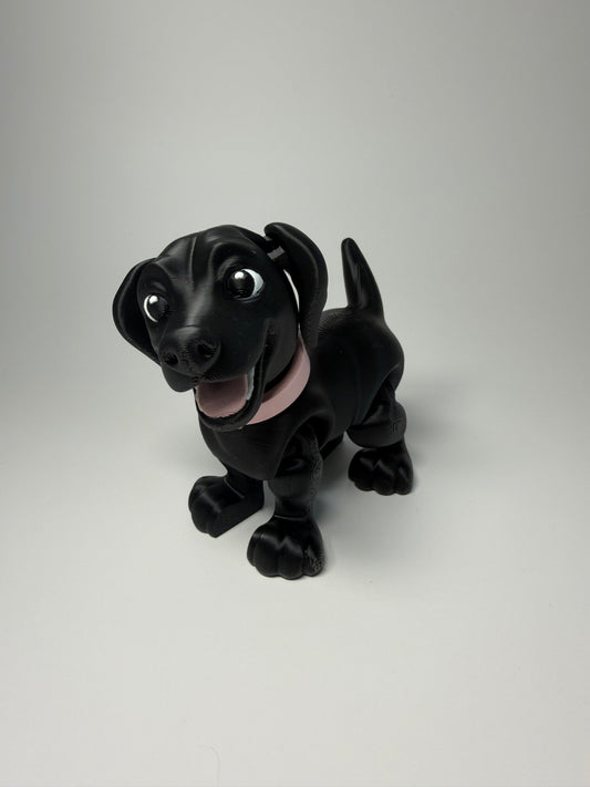 Lab