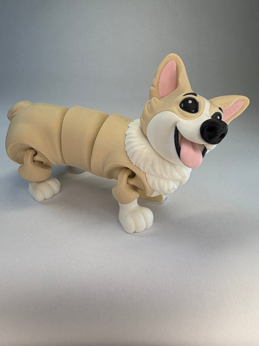 Corgi