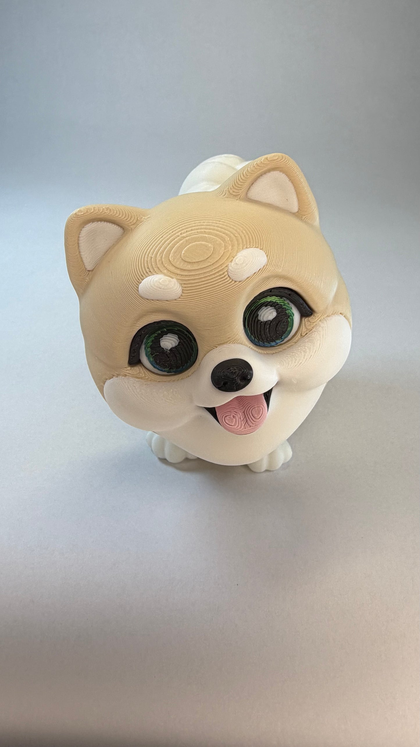 Pomeranian