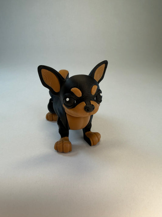 Chihuahua