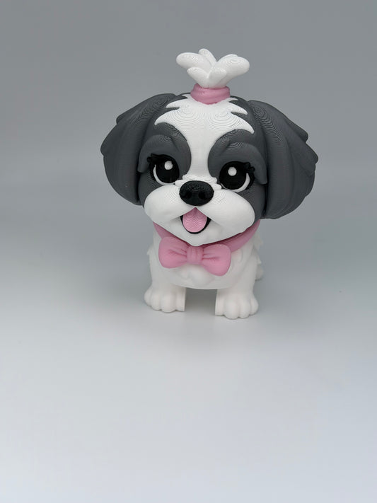 Shih Tzu