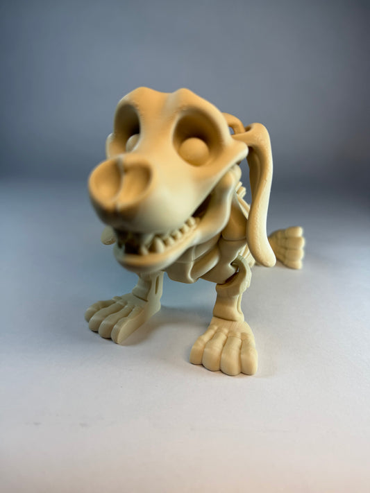 Skeleton Dachshund