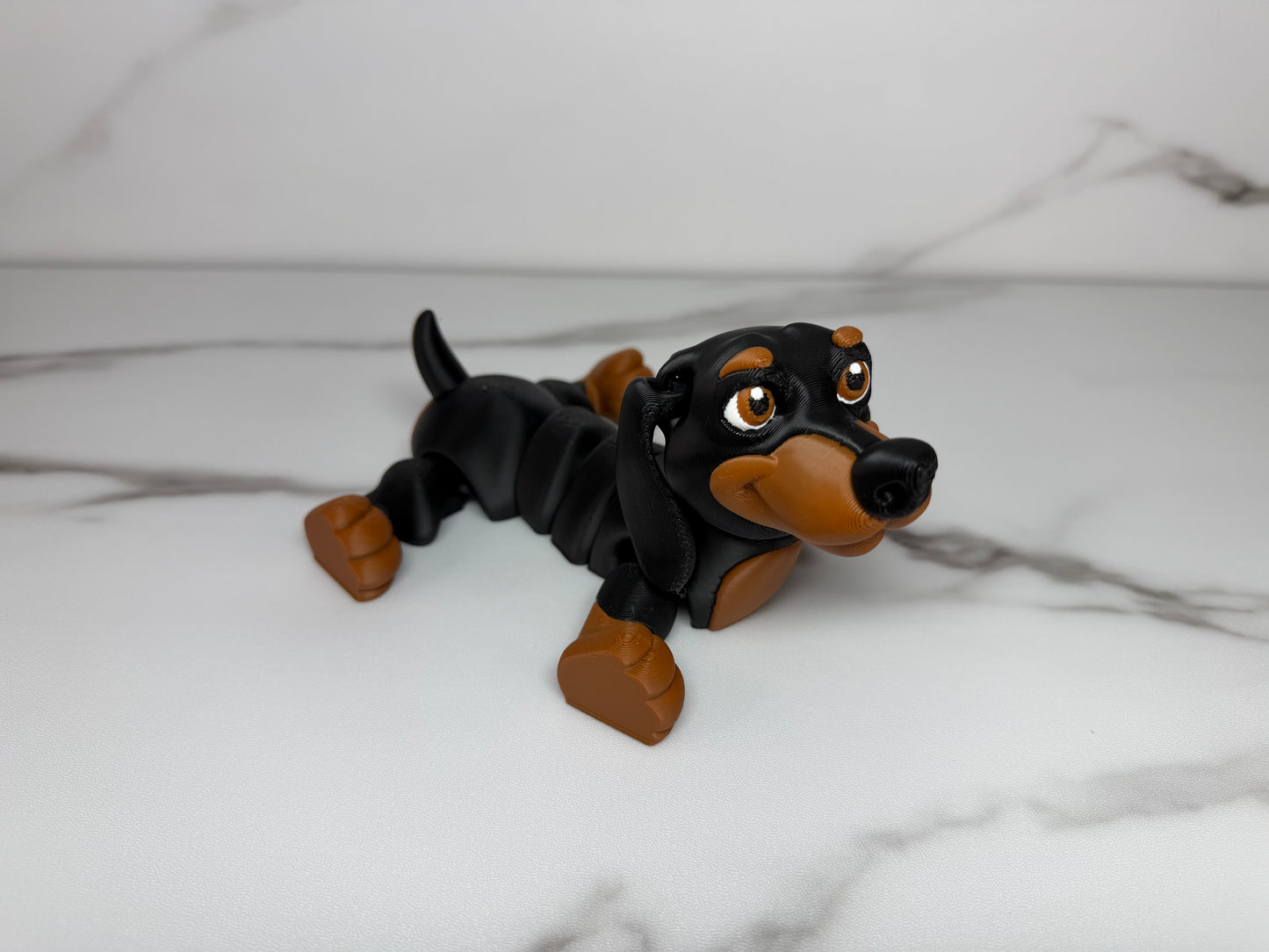Dachshund