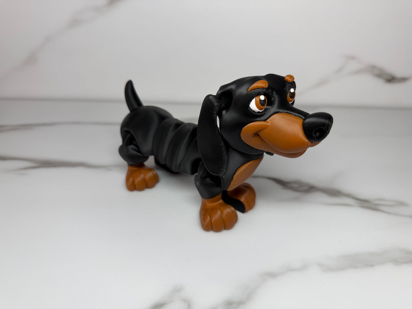 Dachshund