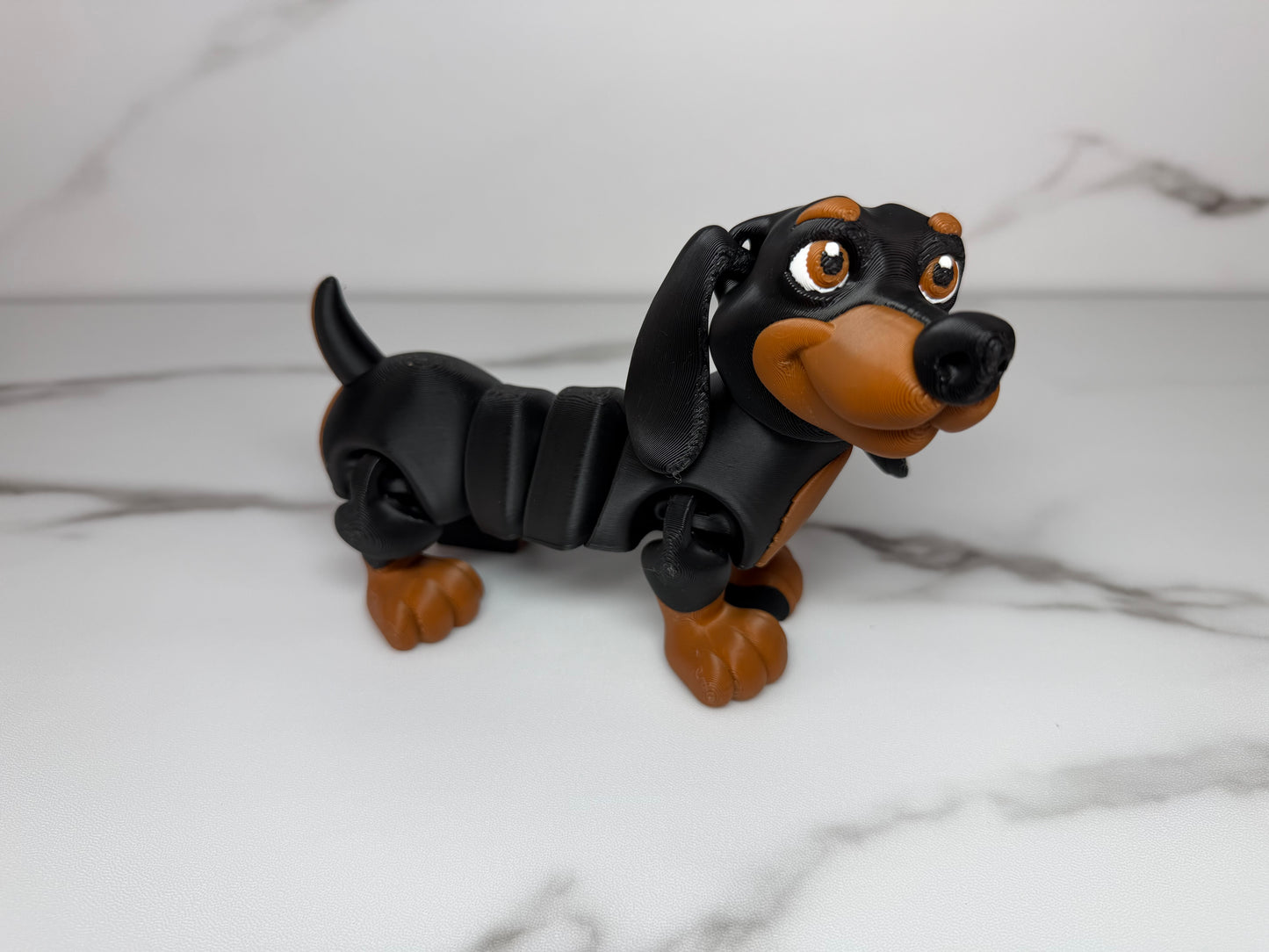 Dachshund